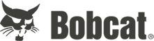 Bobcat